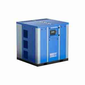 oil-free scroll air compressor